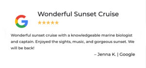 Sarasota Bay Explorers Review wonderful sunset cruise