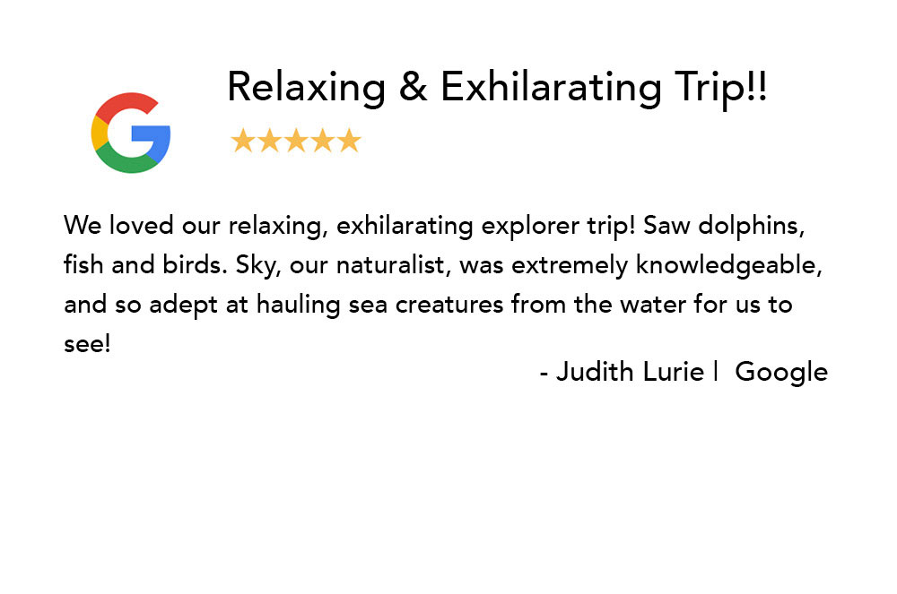 Sarasota Bay Explorers Testimonial