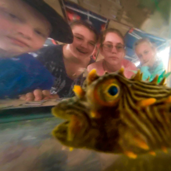 Kids looking at fish in water