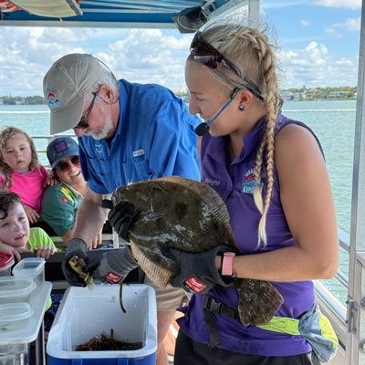 A flounder being shown on a boat in Sarasota Bay