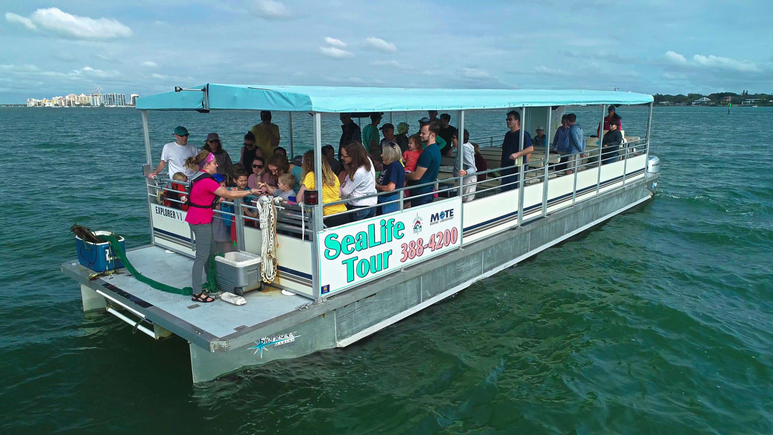 Sarasota Bay Explorers | Sarasota Cruises & Sea Life Encounters